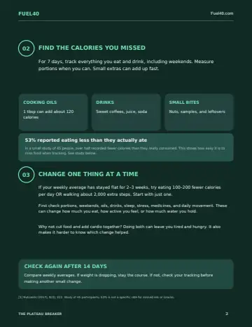 The Plateau Breaker — original PDF page 2 (low-resolution preview)